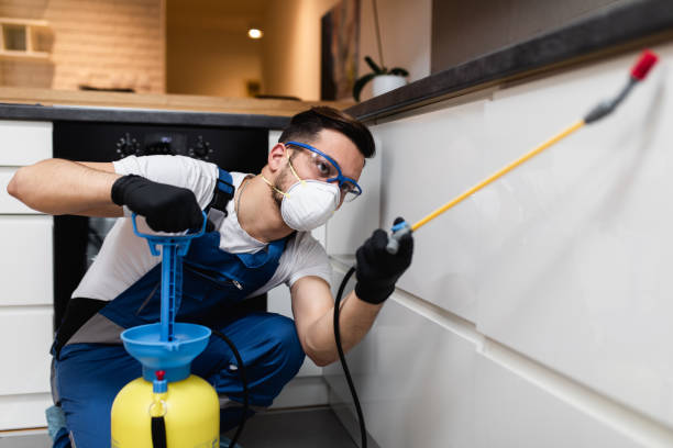 Trusted San Anselmo, CA Pest Control Experts