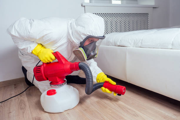 Best Flea Control Services  in San Anselmo, CA