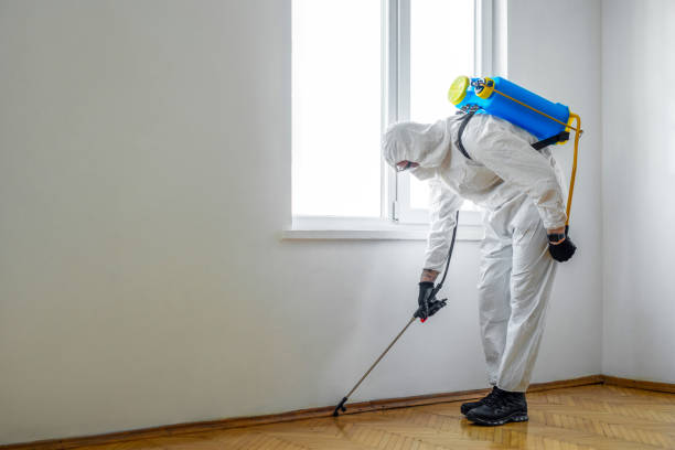 Best Wasp Removal Services  in San Anselmo, CA