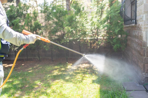 Best Pest Control for Homes  in San Anselmo, CA