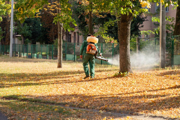 Best Pest Control for Businesses  in San Anselmo, CA