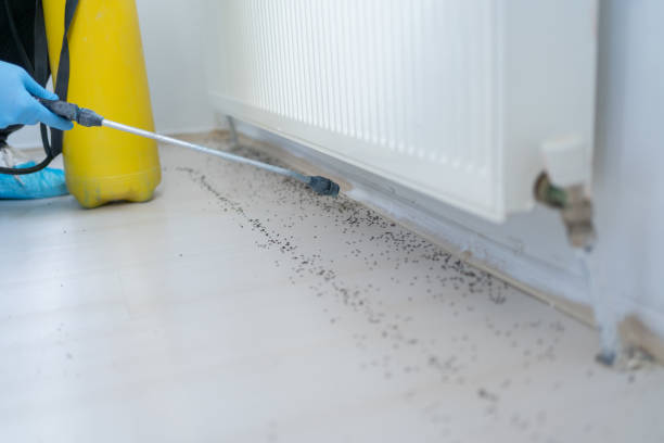 Best Pest Prevention Services  in San Anselmo, CA