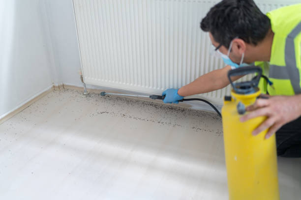 Best Mosquito Control Services  in San Anselmo, CA
