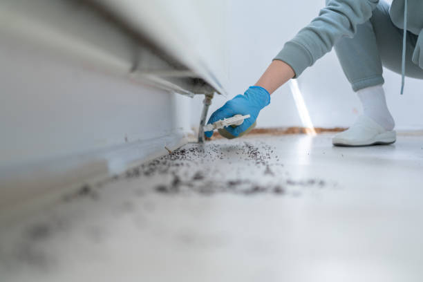 Best Pest Removal Services  in San Anselmo, CA